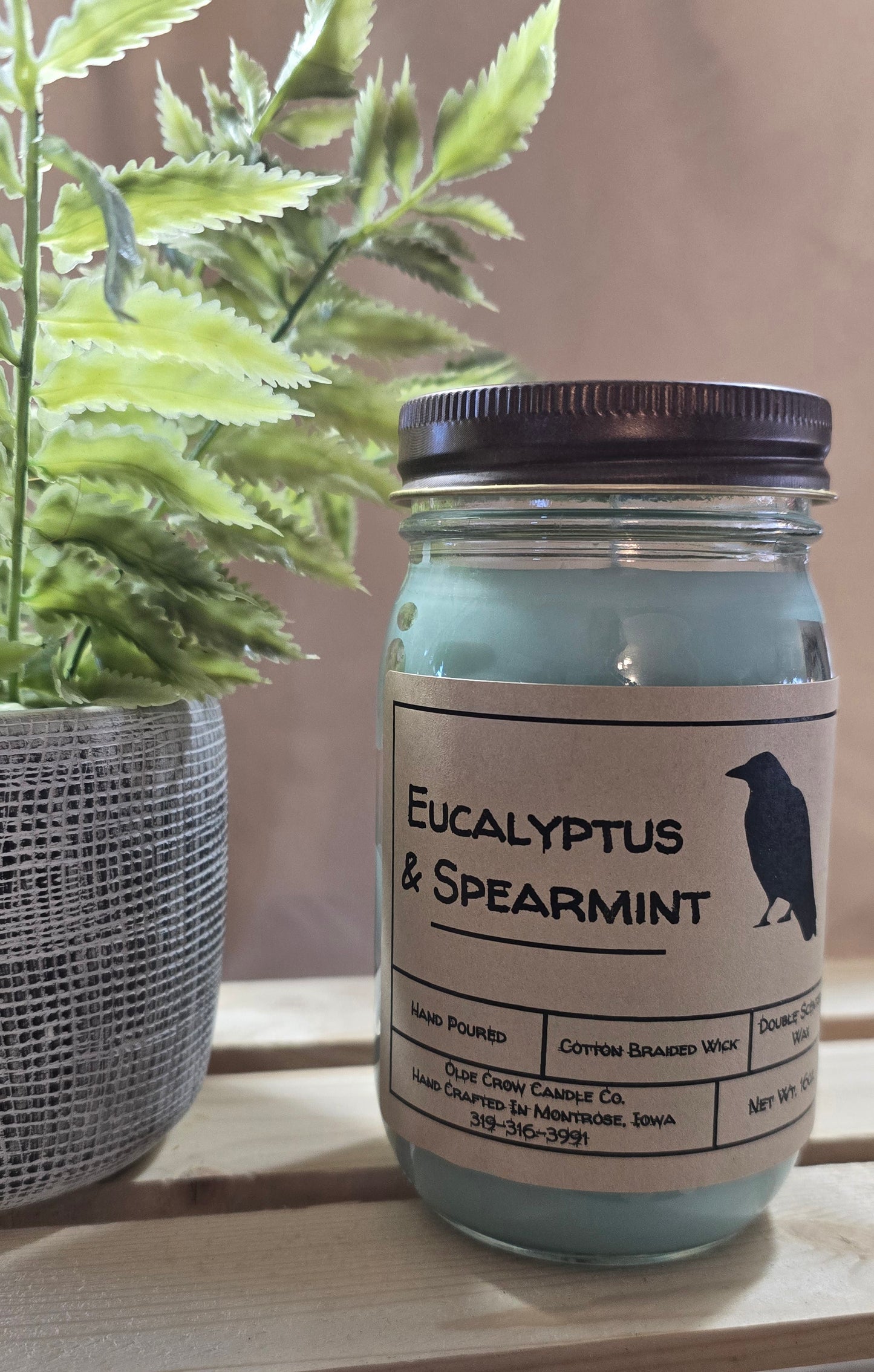 16oz Eucalyptus & Spearmint candle