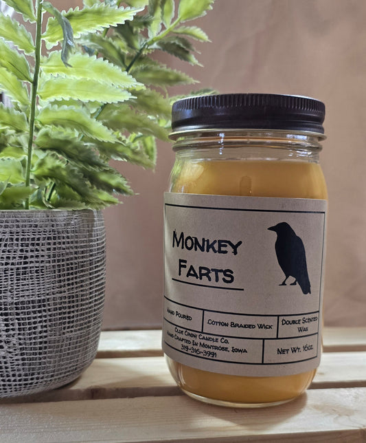 16oz Monkey Farts candle