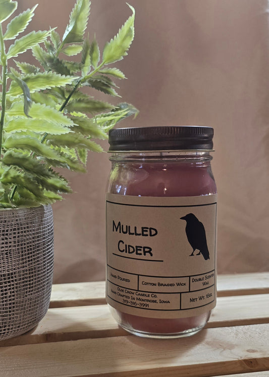 16oz Mulled Cider candle