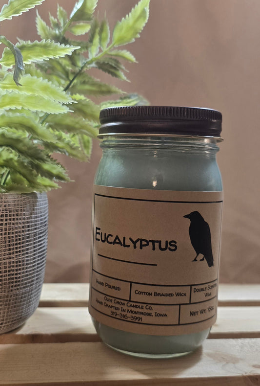 16oz Eucalyptus candle