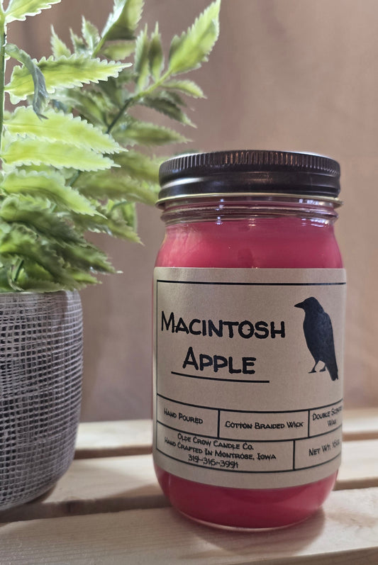 16oz Macintosh Apple candle