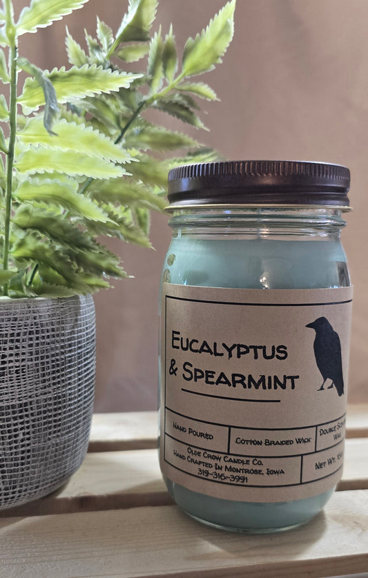 16oz Eucalyptus & Spearmint candle