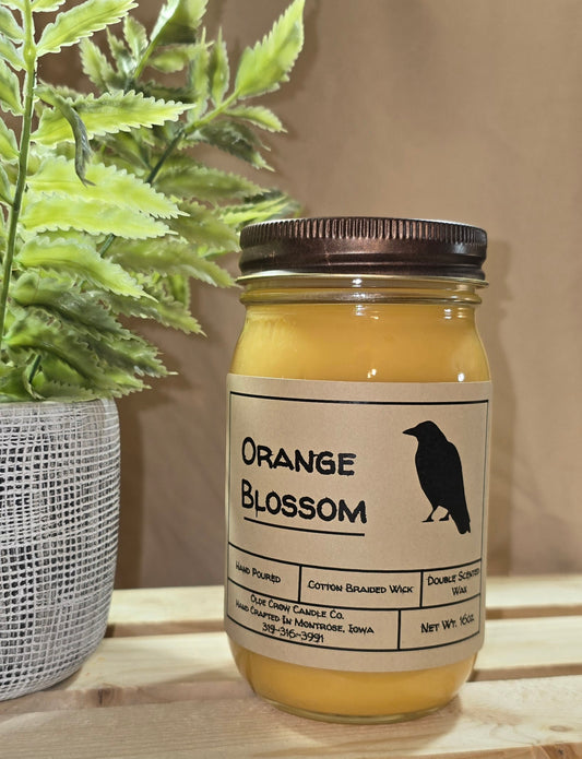 16oz Orange Blossom candle