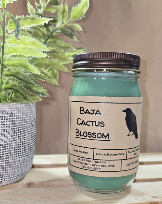 16oz Baja Cactus Blossom candle