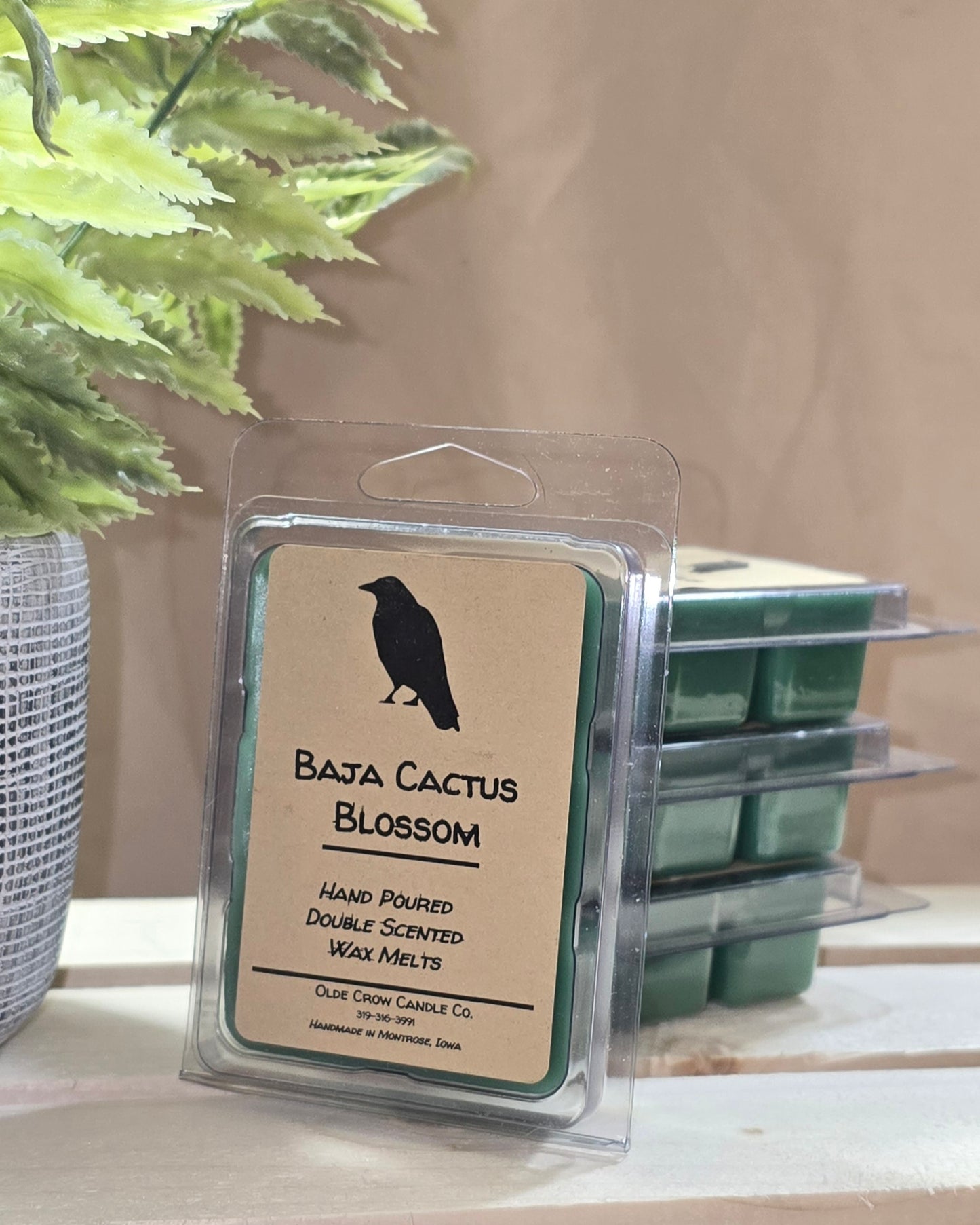 Baja Cactus Blossom wax melt