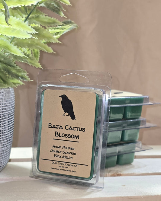 Baja Cactus Blossom wax melt
