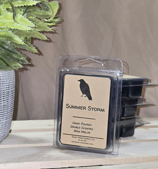 Summer Storm wax melt