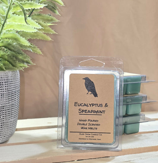 Eucalyptus & Spearmint wax melt