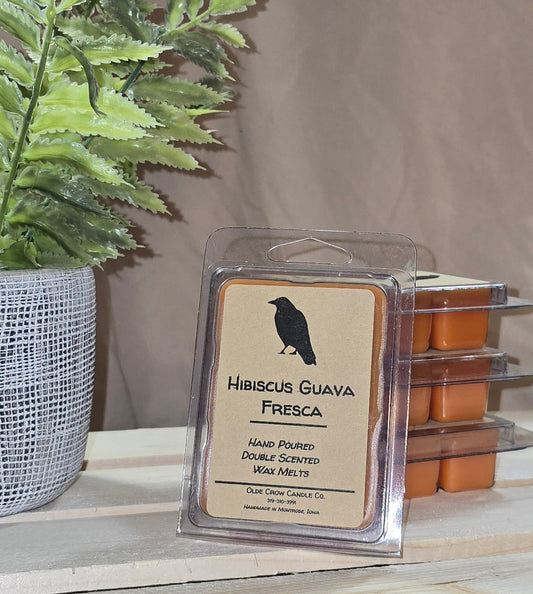 Hibiscus Guava Fresca wax melt